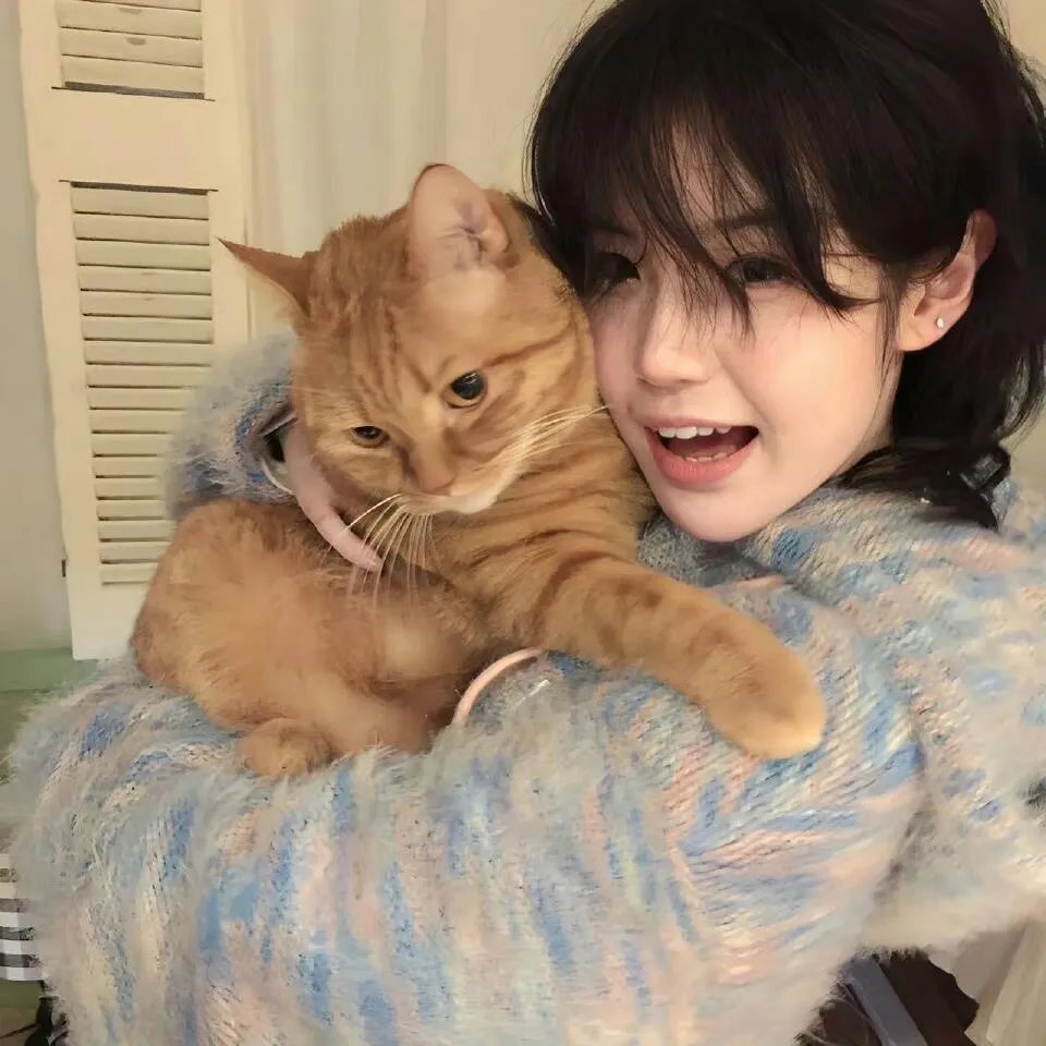 吸血鬼骑士第二季