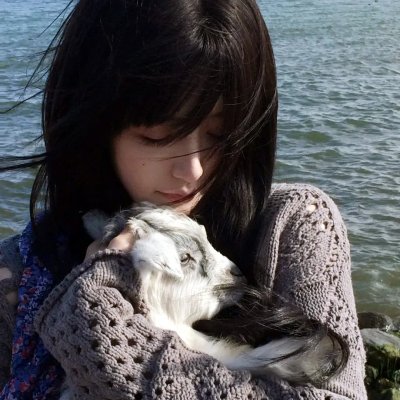 芙蓉花开待君折